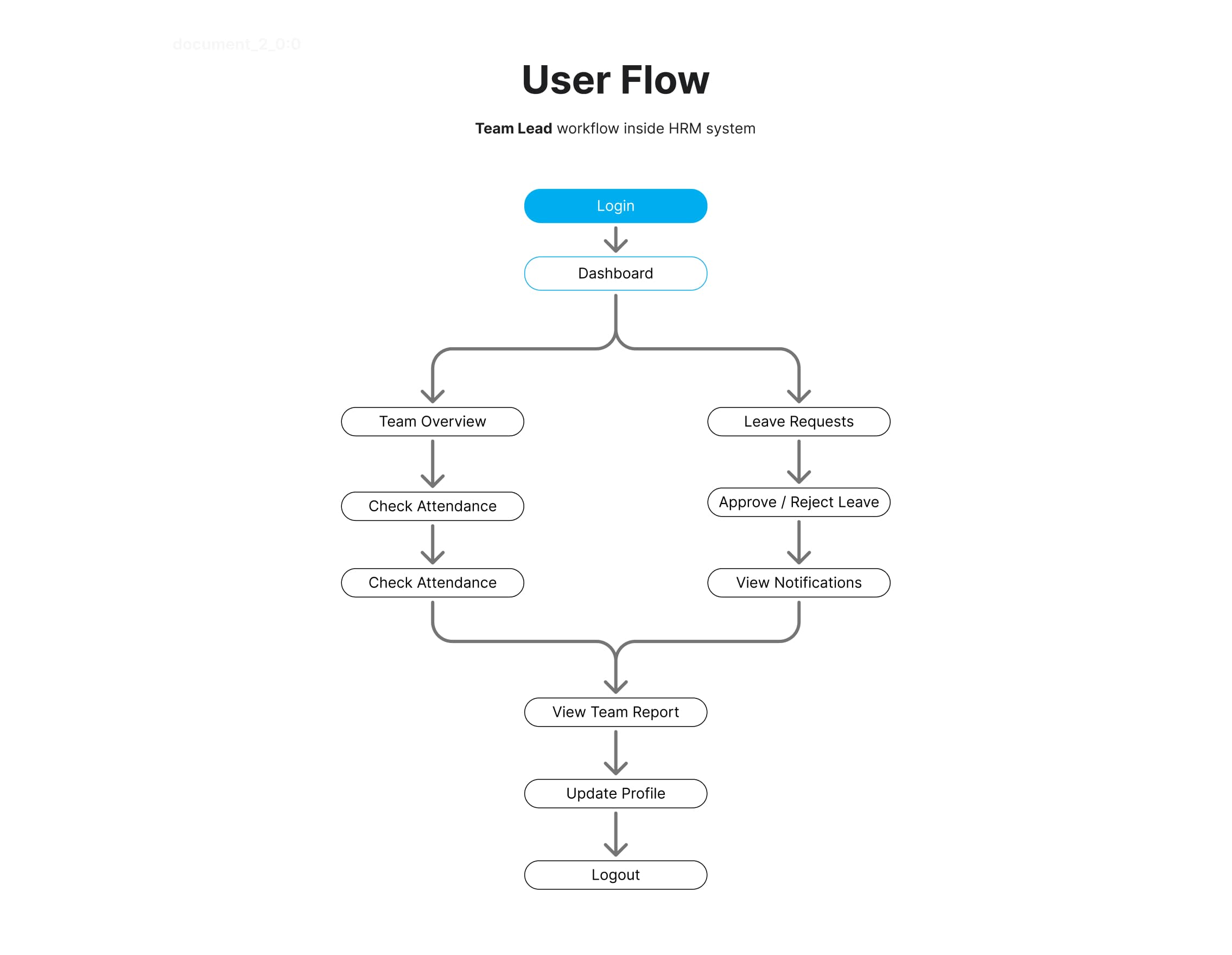 User Flow Team Lead